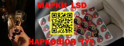 индика Гусь-Хрустальный