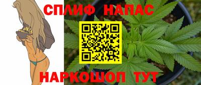 МДПВ Донской