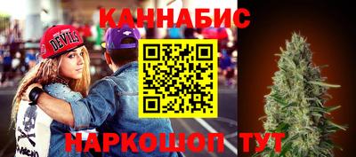 индика Гусь-Хрустальный