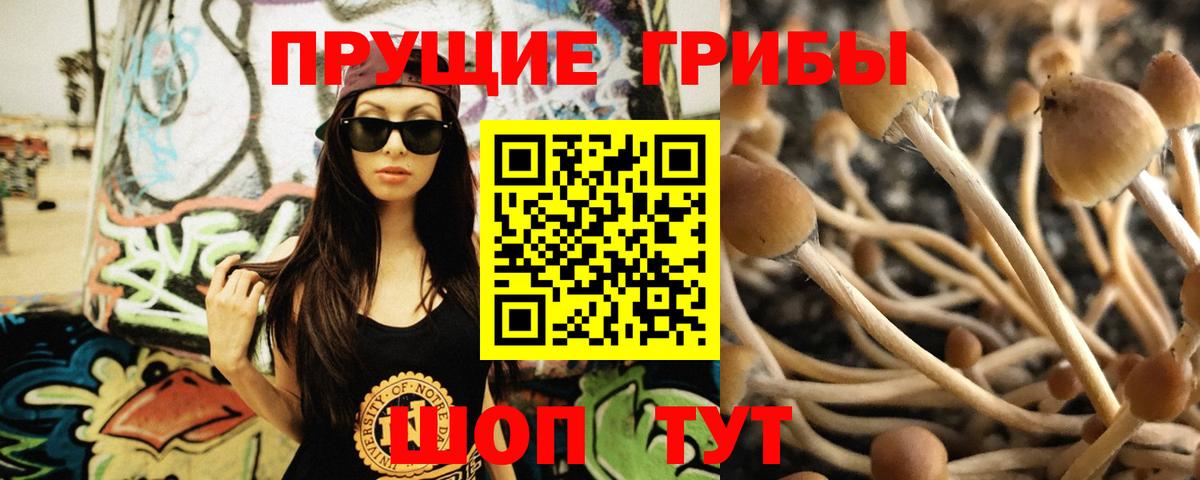 Новочебоксарск  Галлюциногенные грибы мухоморы  Вход с VPN  Галлюциногенные грибы Psilocybine cubensis 