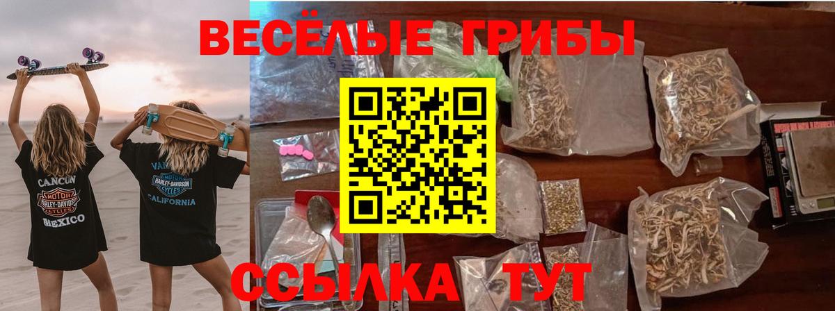 Галлюциногенные грибы мухоморы Новочебоксарск